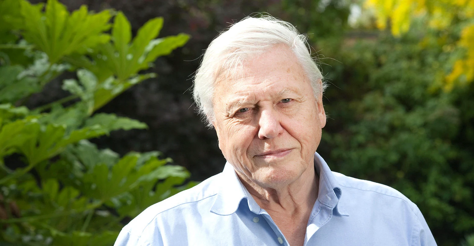 Fancy a science lesson from David Attenborough? He’s just one of the teachers on BBC’s virtual school
