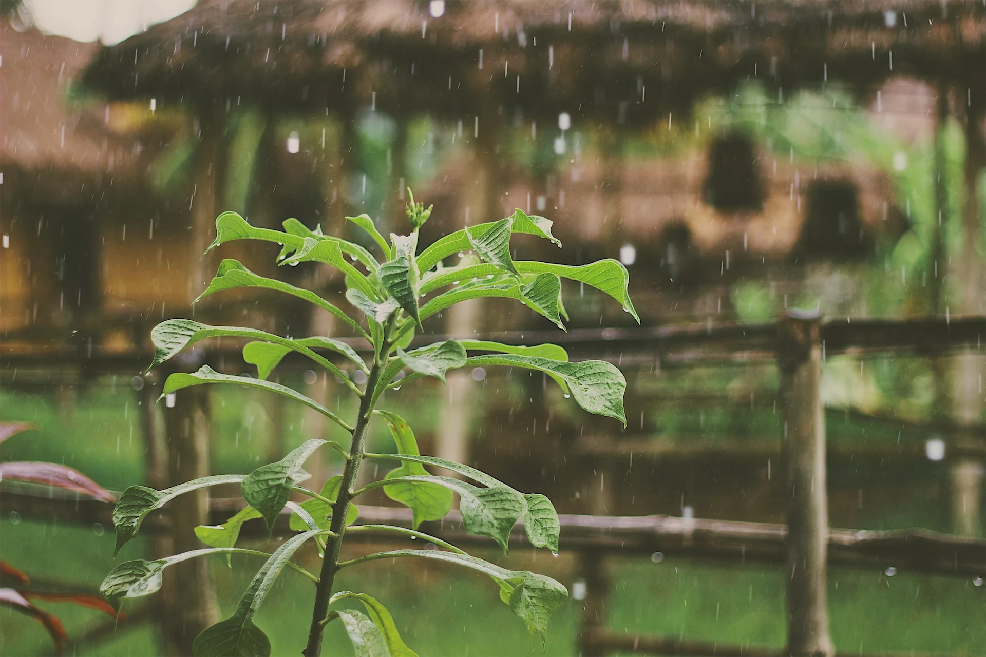 Unsettled conditions and cold temperatures mark a change in Irish weather this week