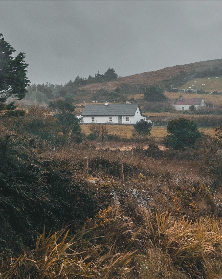 little leaves studio rural ireland