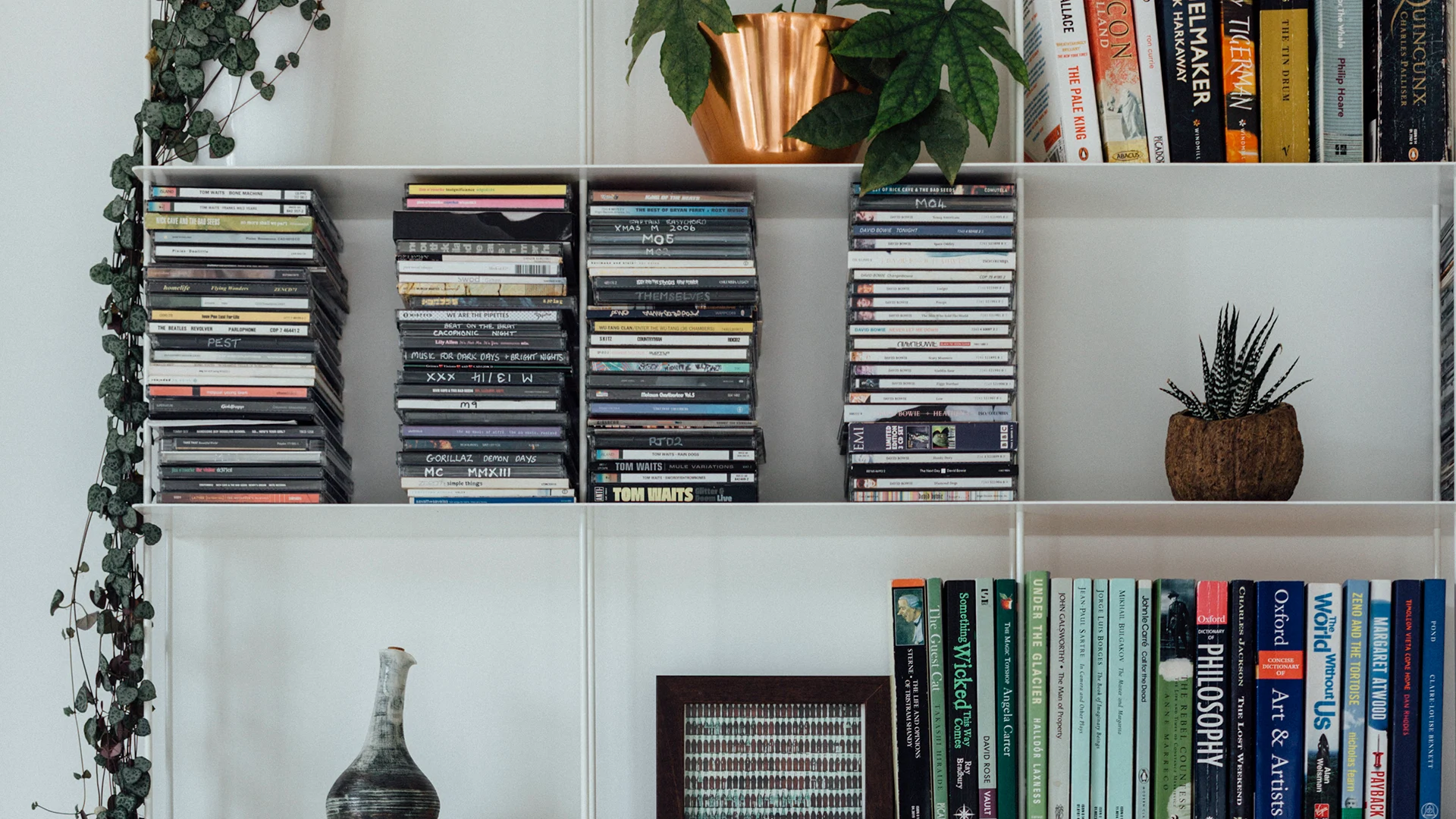 Shantanu Starick zoom background images