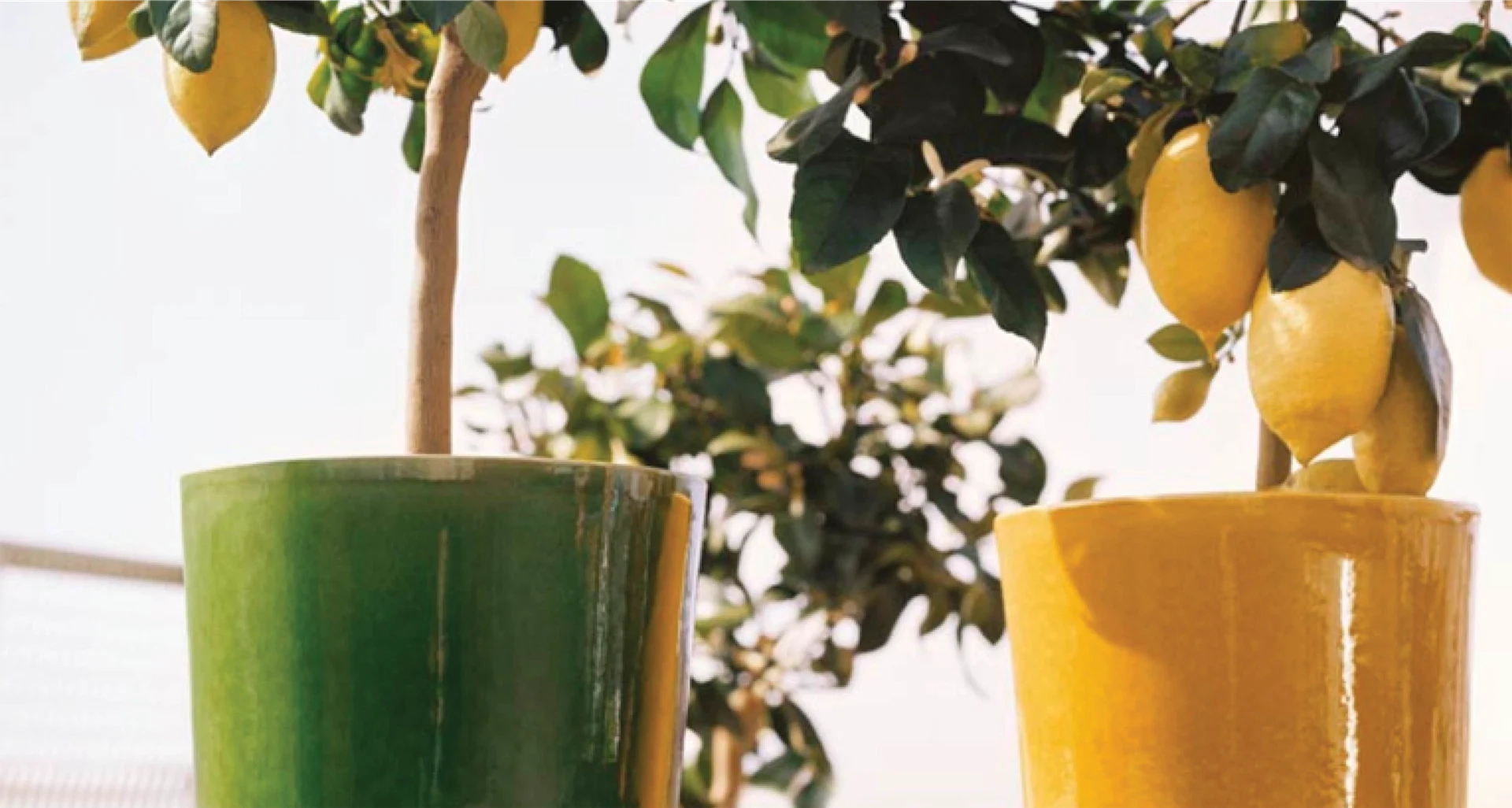 10 of the best planters to brighten up your space, inside and out