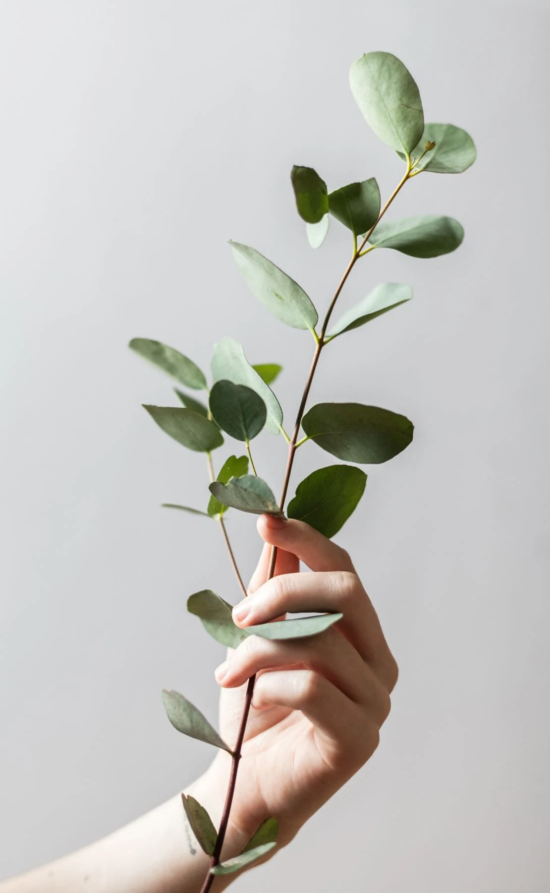 naturally scent your home