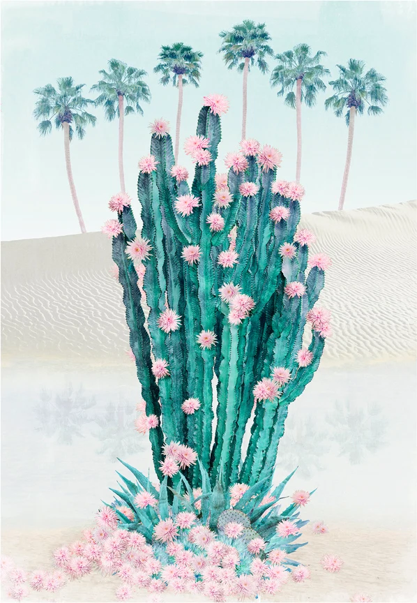 CACTUS OASIS Nadia Attura
