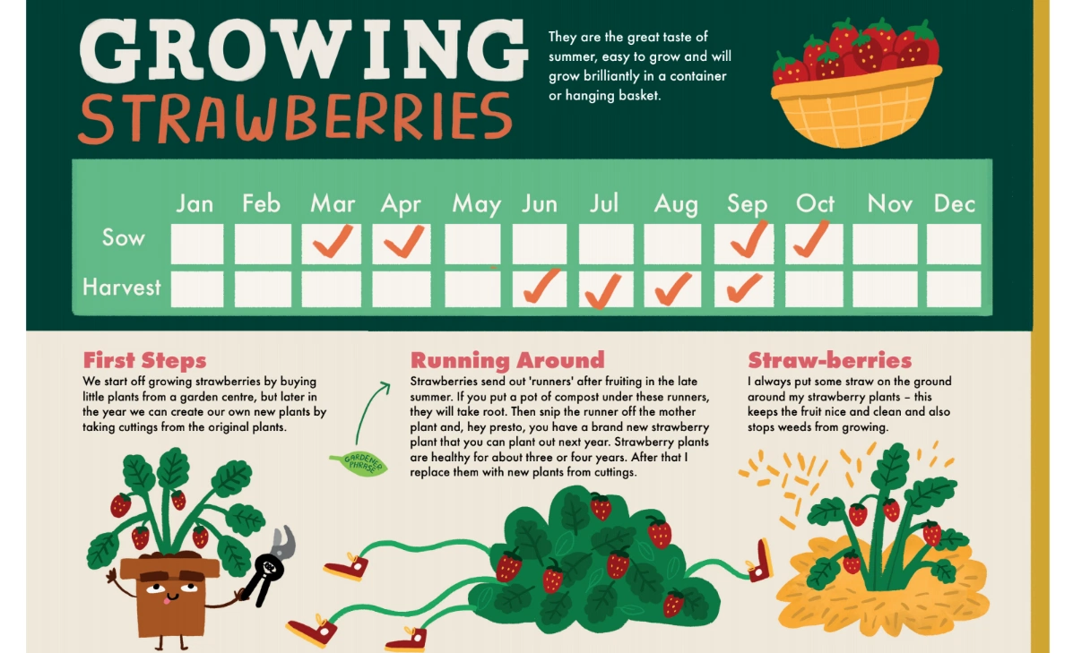 kids growing their own fruit and vegetables