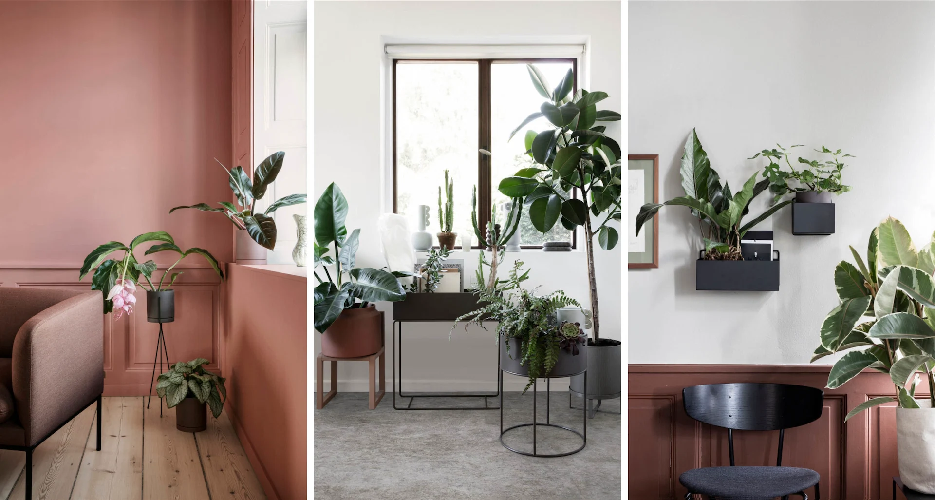 How to repot your house plants, and the signs that you need to