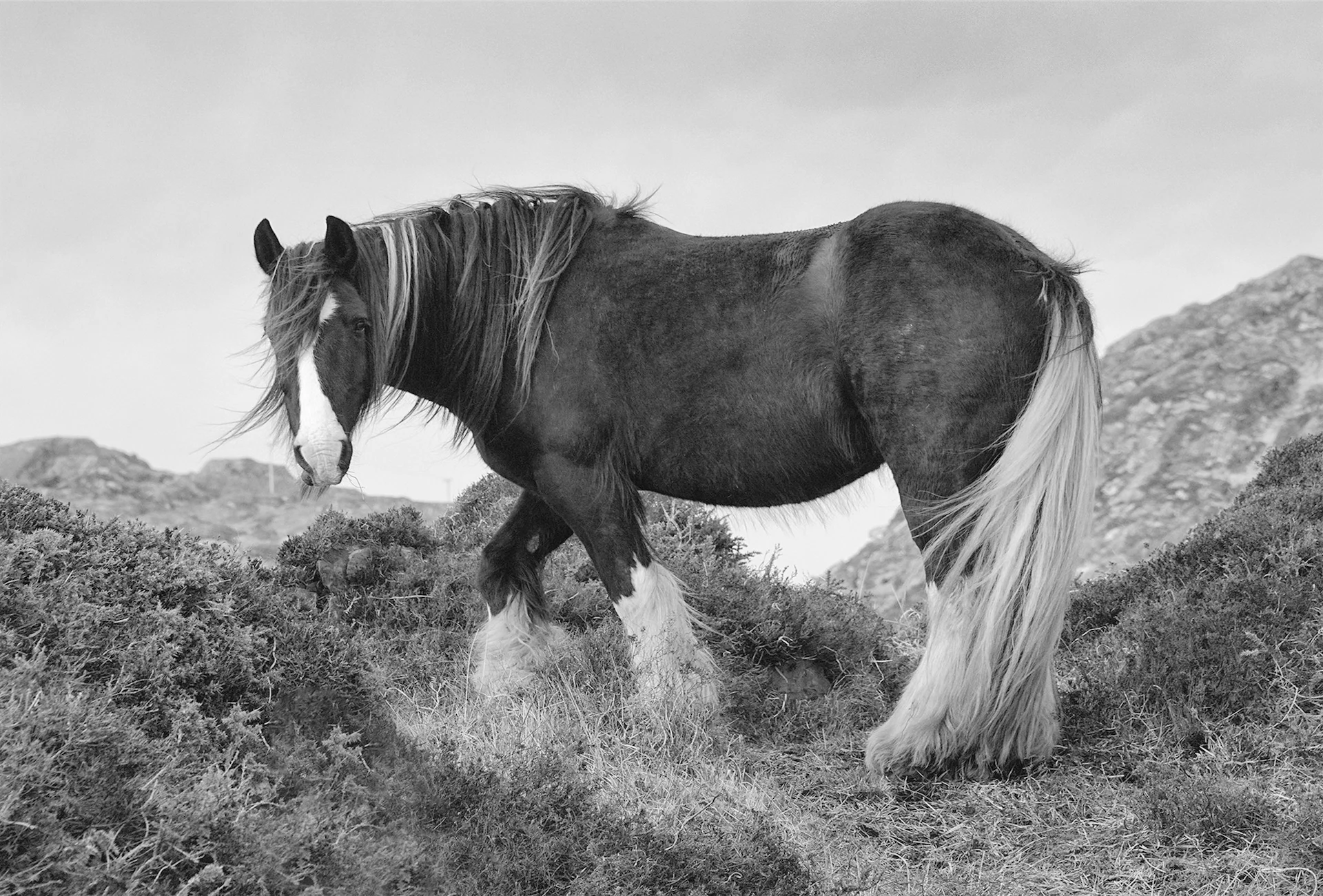 Remote Working: renowned photographer Giles Norman pays homage to Ireland’s undiscovered places Remote Working: renowned photographer Giles Norman pays homage to Ireland’s undiscovered places