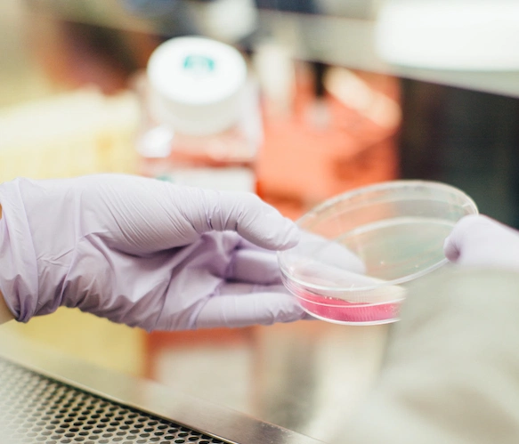 First trials of UK Covid-19 vaccine find it safe with an ‘immune reaction’ First trials of UK Covid-19 vaccine find it safe with an ‘immune reaction’