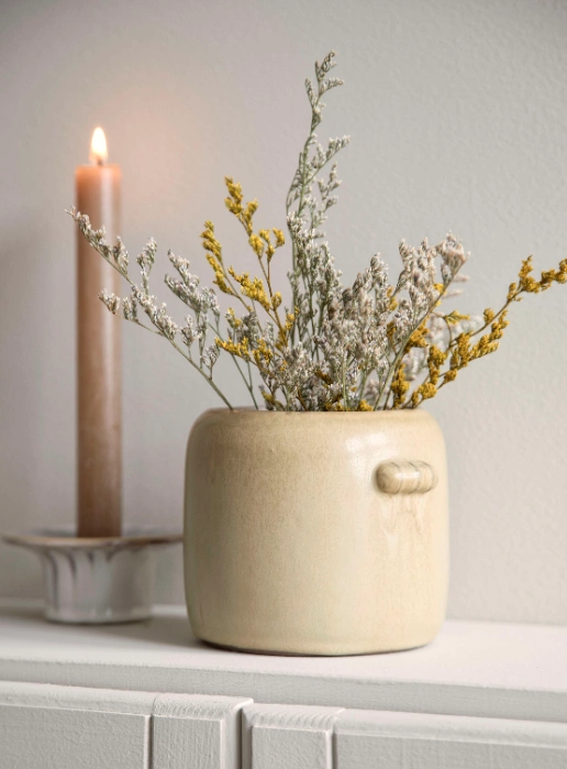 dried and preserved flowers