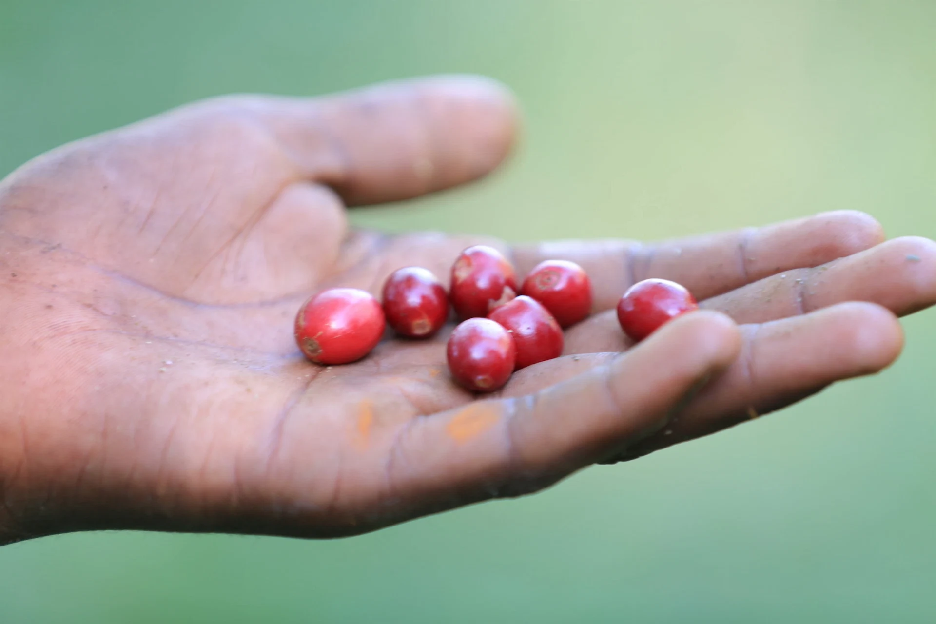 Everybody deserves great coffee in their life (now more than ever).