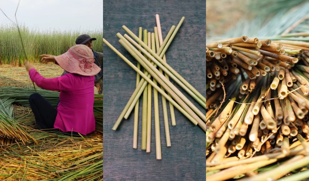 #ShopIrish Spotlight: GIOP Straws, the sustainable grass straws making Ireland greener