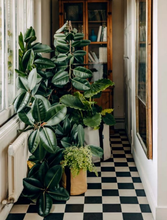 mood boosting interiors buys
