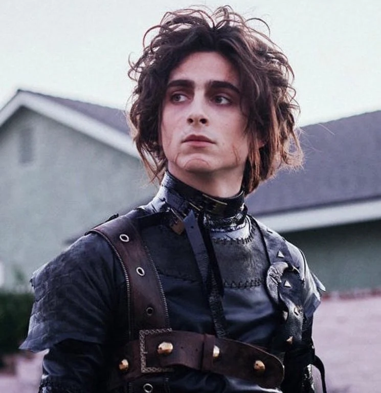 WATCH: Everyone is talking about Timothée Chalamet paying homage to Edward Scissorhands WATCH: Everyone is talking about Timothée Chalamet paying homage to Edward Scissorhands