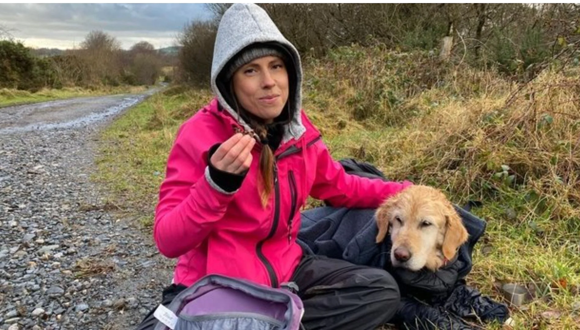 WATCH: Dog lost for two weeks in Wicklow mountains found safe