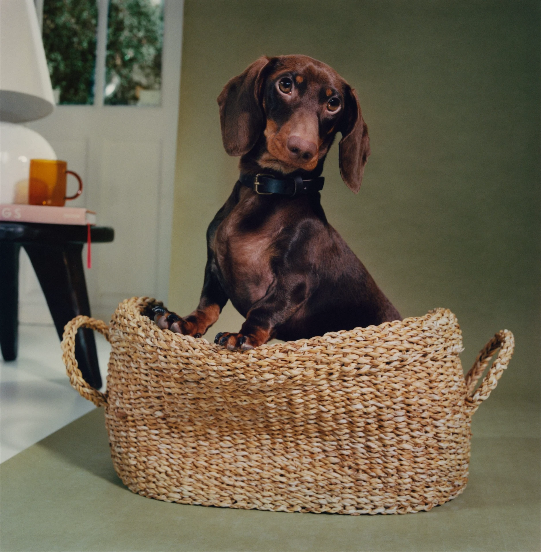 Natural fibre bed, €35.99, Zara Home