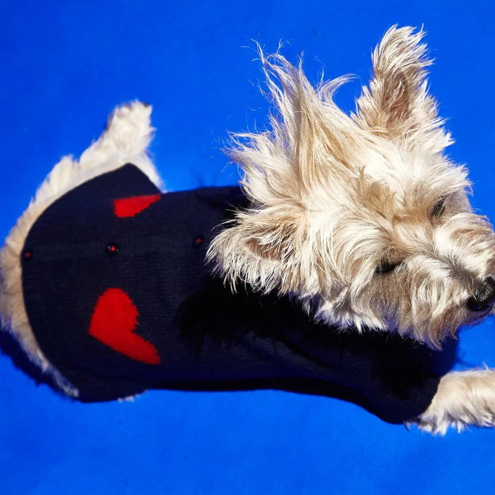 Heart cardigan, around €65, Ware of the Dog