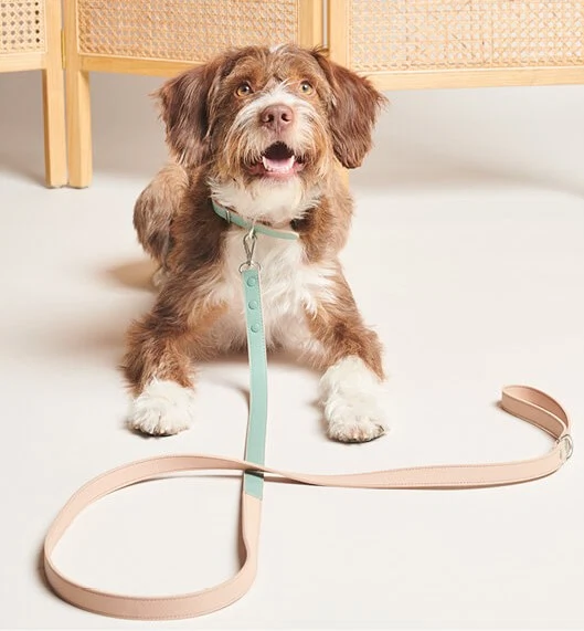 Bo Vegan leather leash, €99, Pawness