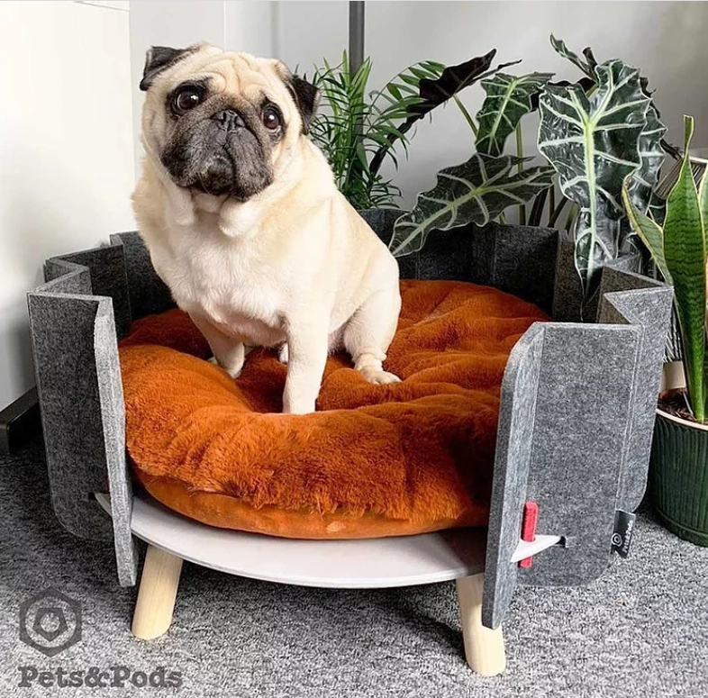 Biscuit pet bed, around €142, Pets & Pods