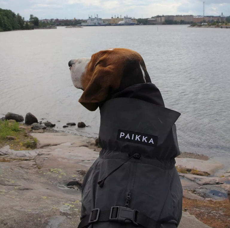Visibility Raincoat, €59, Brown Thomas