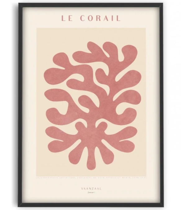 Marin - Le Corail II, €39, PSTR Studio