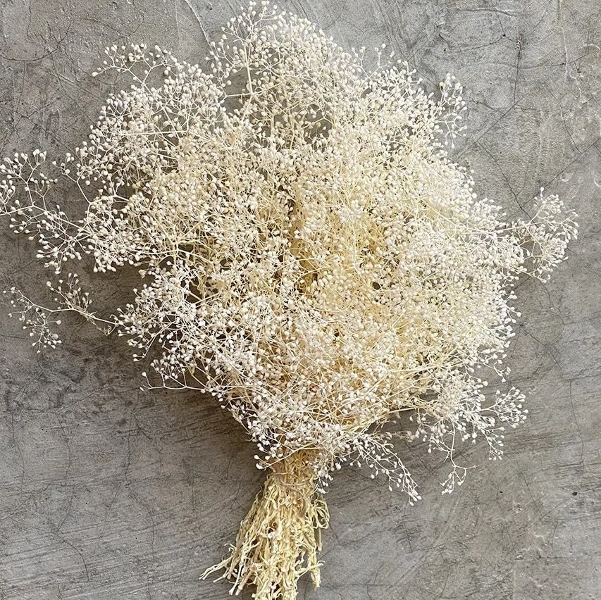 Gypsophila white dried flowers, €15, April and the Bear