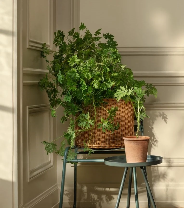 Practical and stylish: 12 baskets we absolutely love for every budget