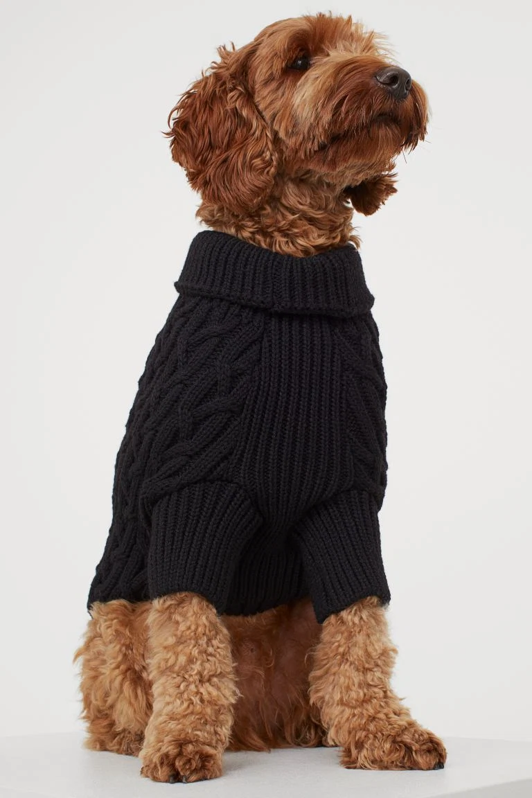 Cable-knit dog jumper,€14.99, H&M