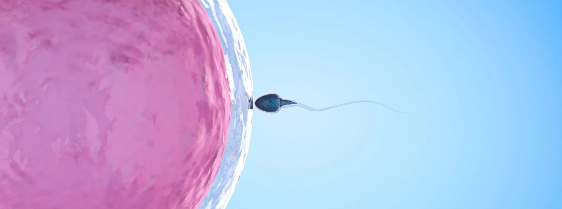 With infertility rates on the rise, it’s likely that you’ll either know someone who experiences fertility issues or or deal with them yourself at some point in your lifetime.