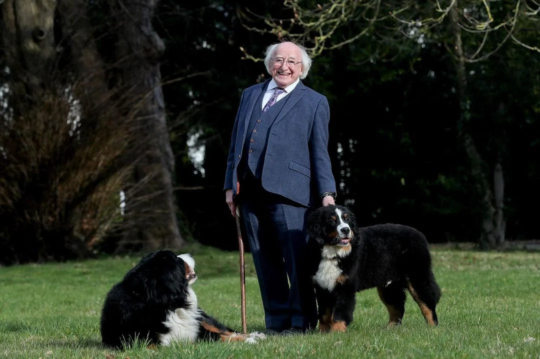 Michael D Higgins