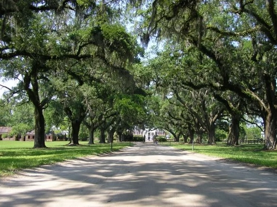 country homes for sale