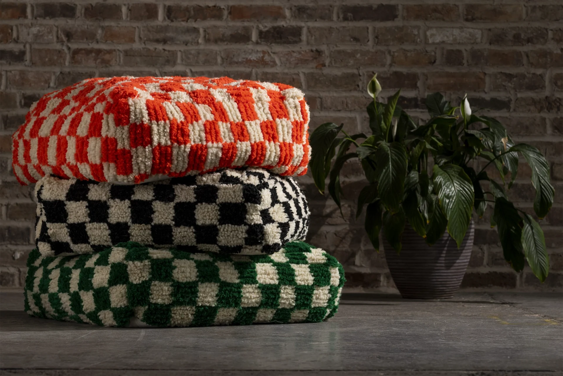 CA Design x Ingrid Hoey