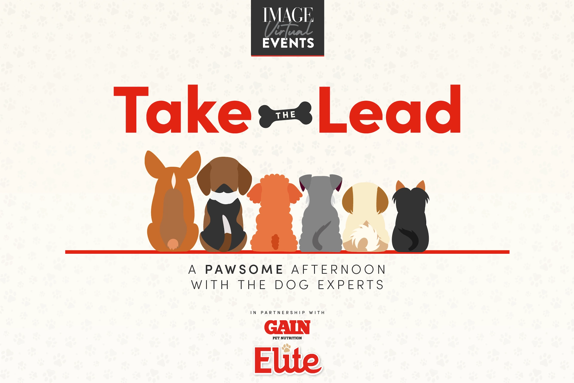 Calling all dog owners: Join our virtual event and #TakeTheLead from the dog experts