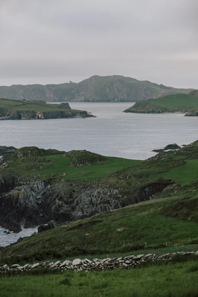 The shore where Joan forages seaweed for testing.