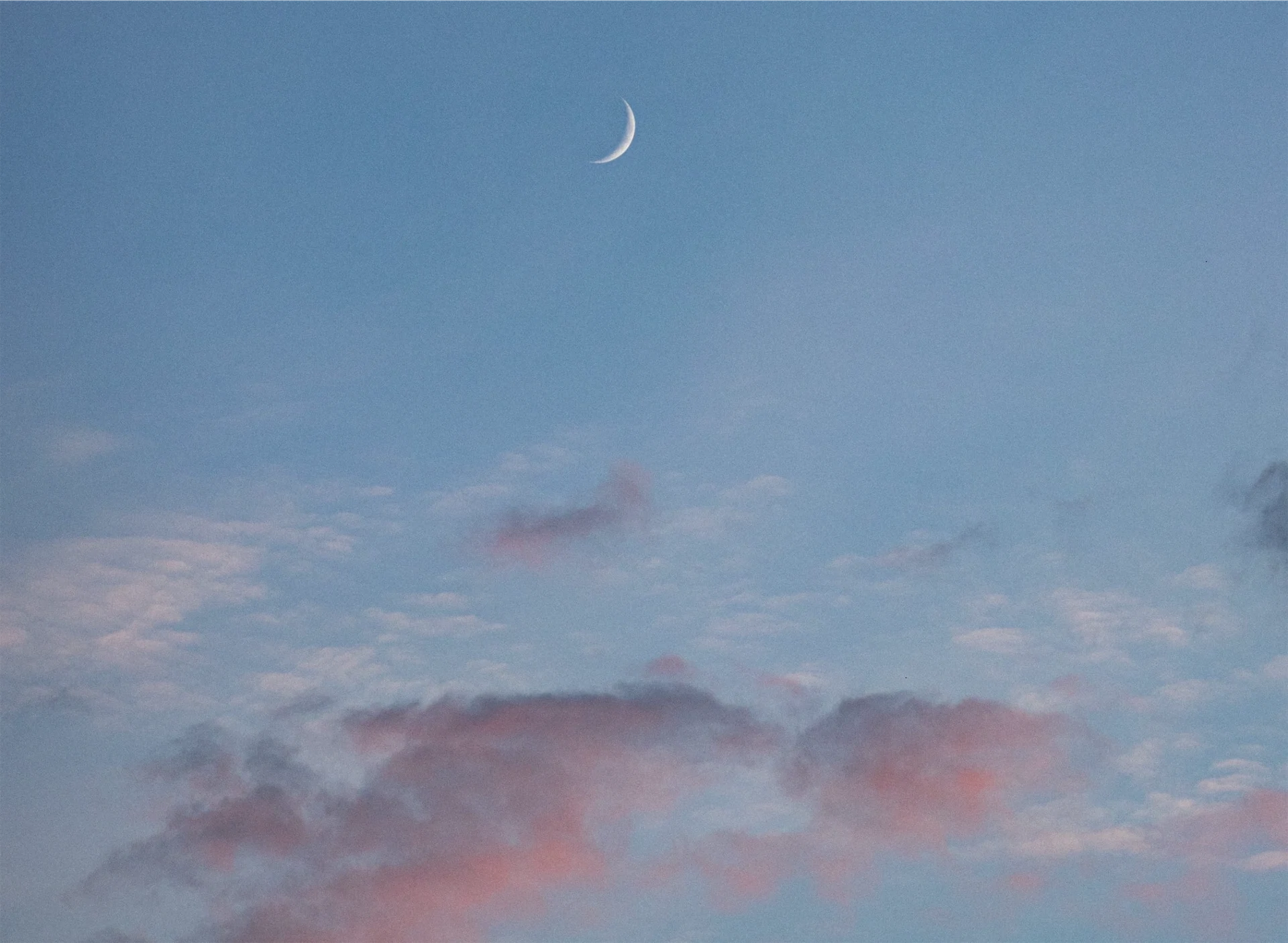 callum-shaw-bcCymEw9ME4-unsplash