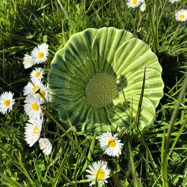 Serving bowls Ireland