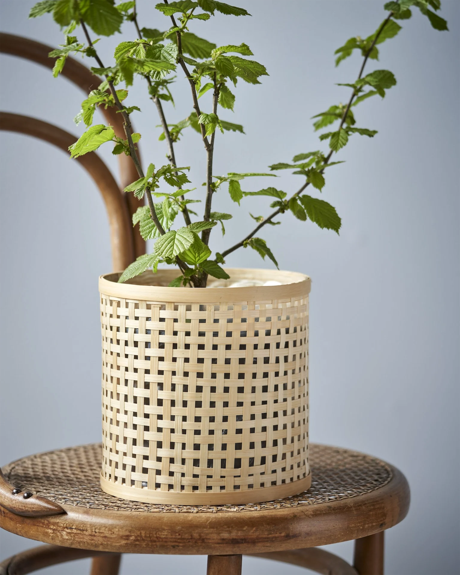 Søstrene Grene new in