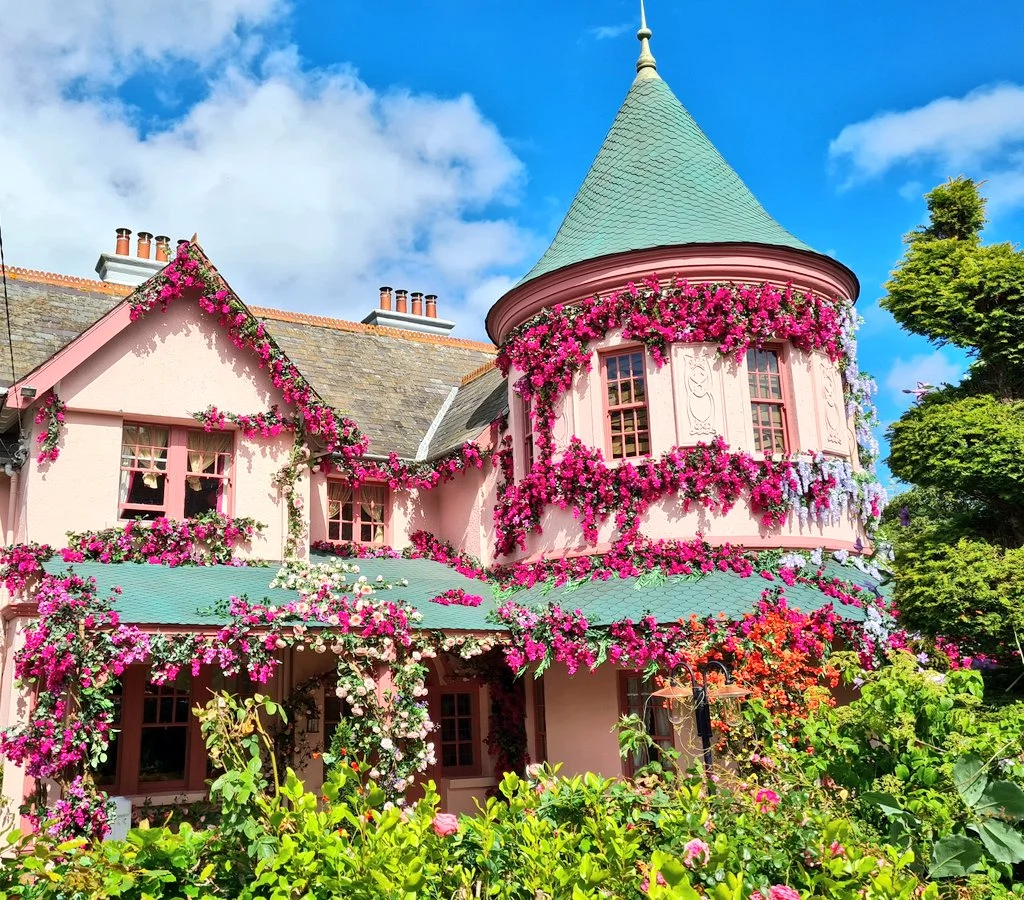 Wicklow villages get the Disney treatment as filming for ‘Disenchanted’ continues