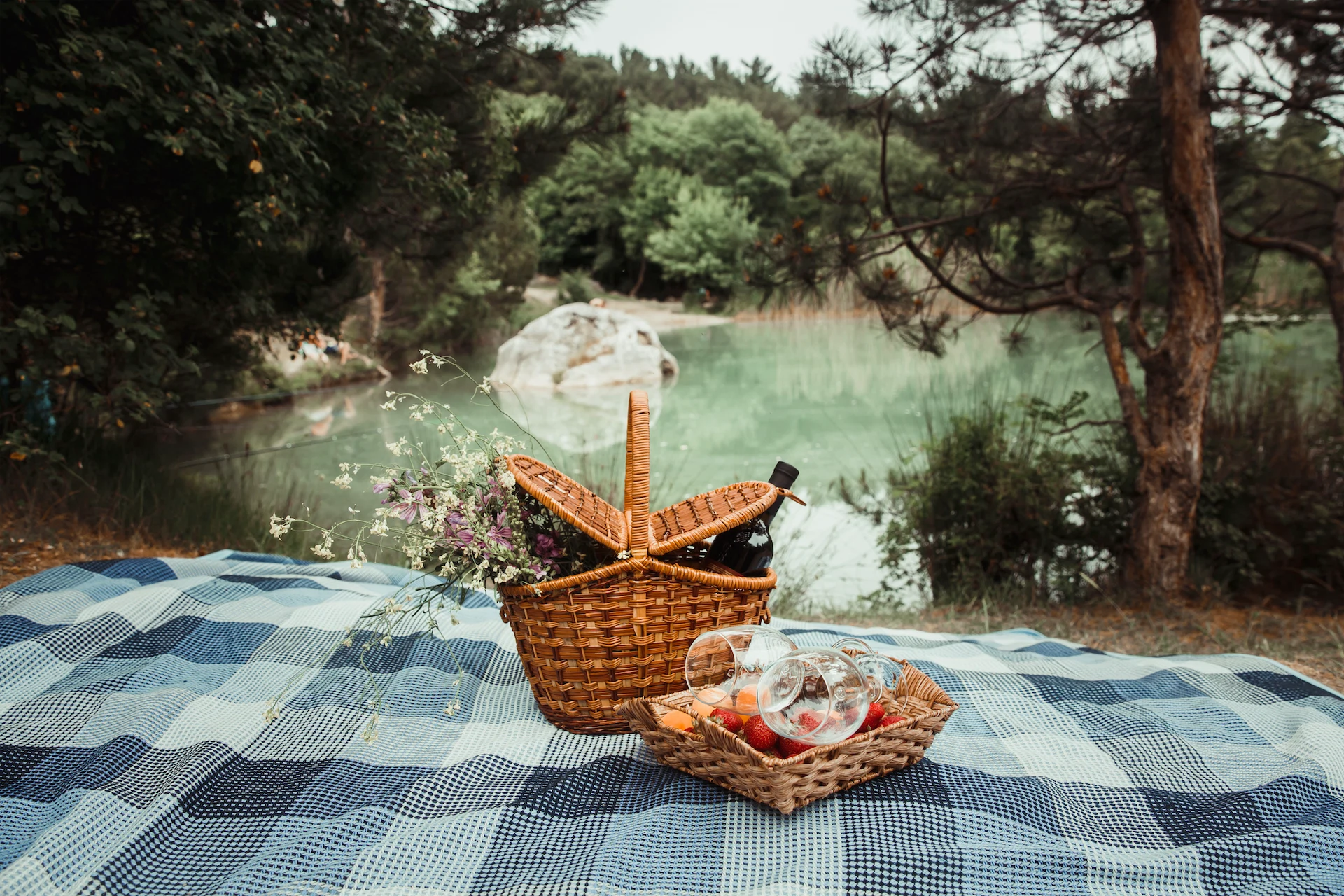 picnic