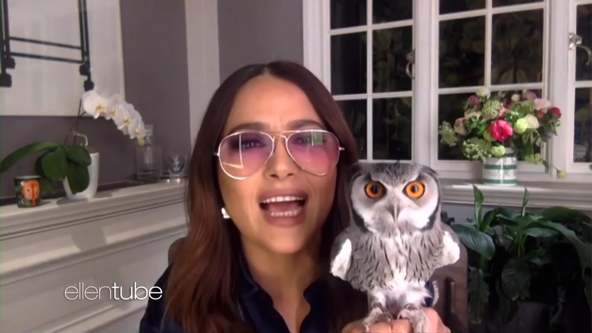 Salma Hayek’s pet owl threw up on Harry Styles’ hair, and we have so many questions
