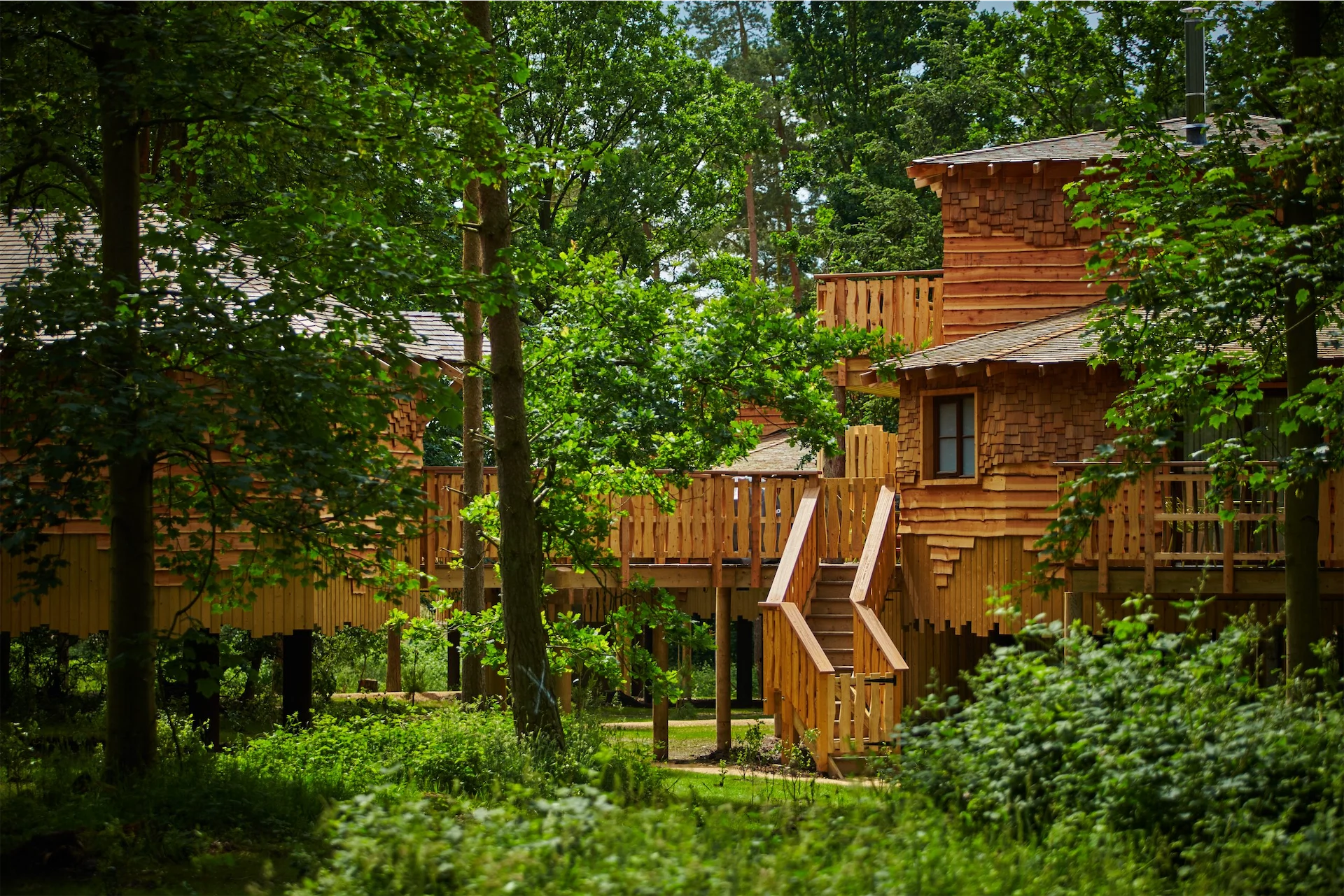 Center Parcs Ireland announces €85 million expansion plan including new luxury treehouses Center Parcs Ireland announces €85 million expansion plan including new luxury treehouses