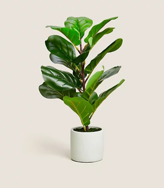 Artificial Fig leaf tree, €29.40, M&S