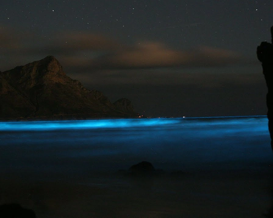A beginner’s guide to: Starlight kayaking on Ireland’s glow-in-the-dark lake