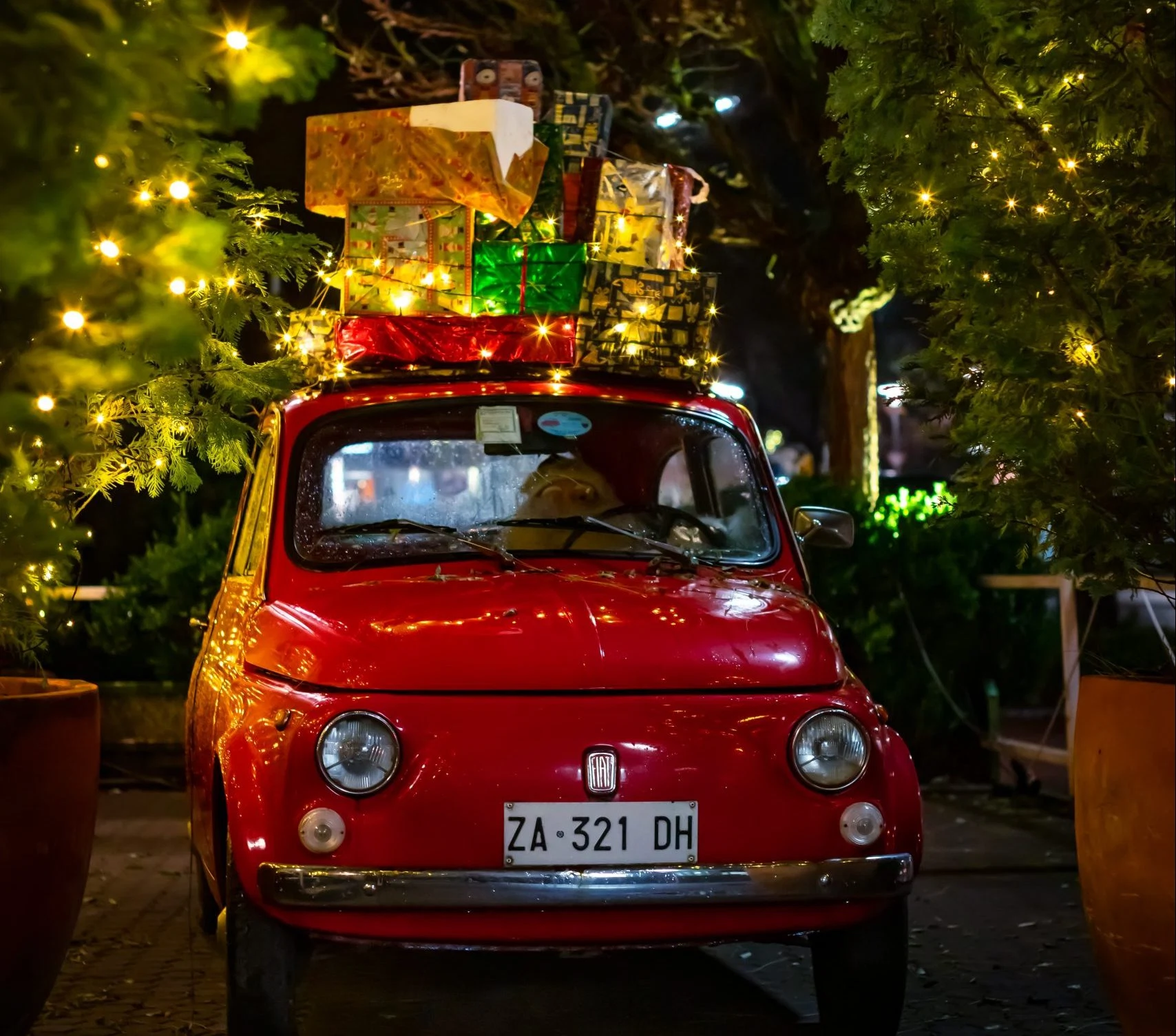 6 great Christmas activities to book now including Dublin Zoo’s Wild Lights 6 great Christmas activities to book now including Dublin Zoo’s Wild Lights