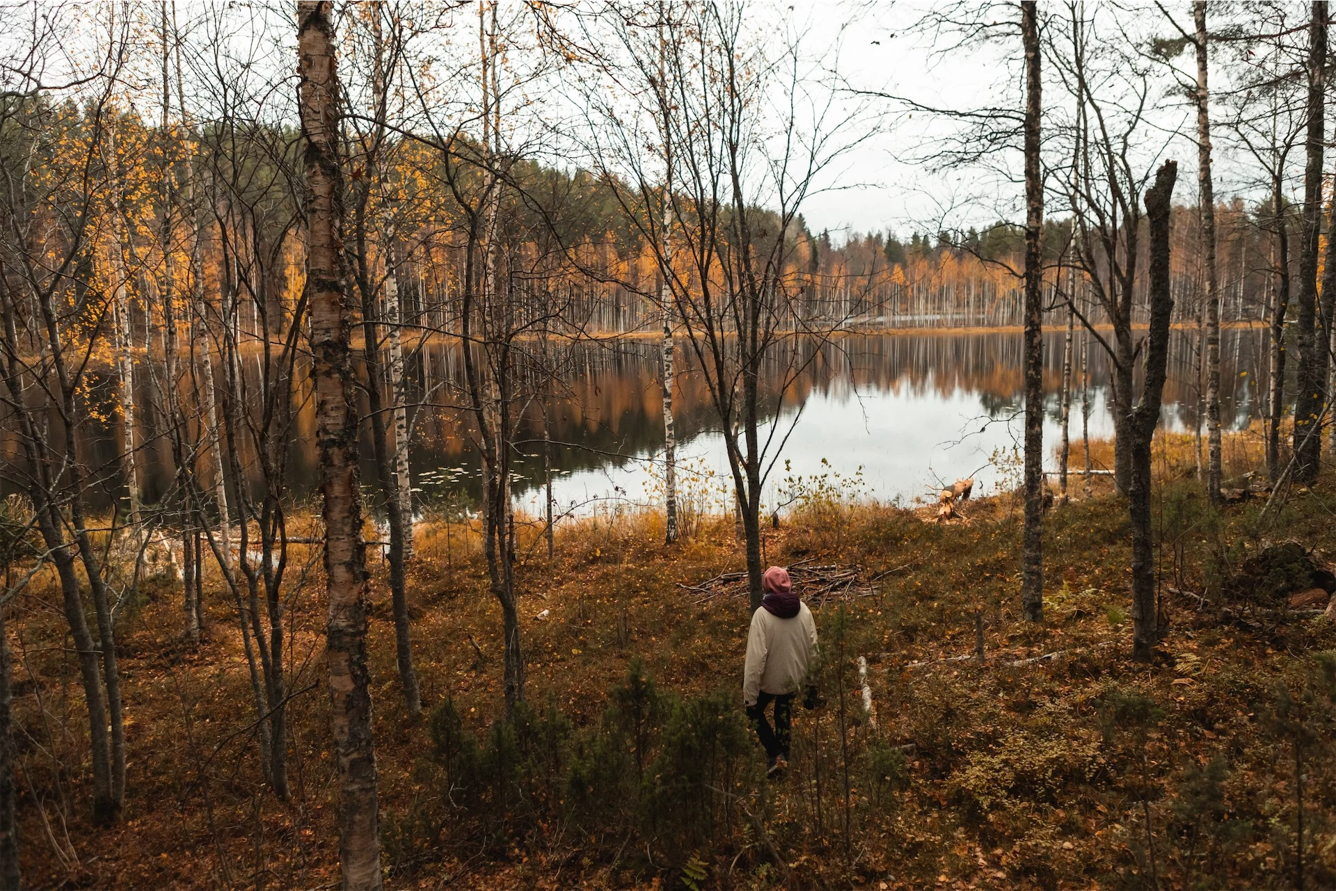 Some of Ireland’s best autumnal forest walks to try over the mid-term