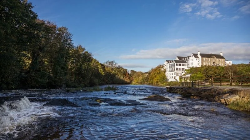 mid-term staycation ideas