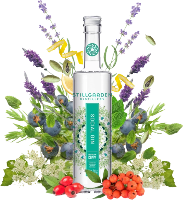 Irish brands doing Black Friday