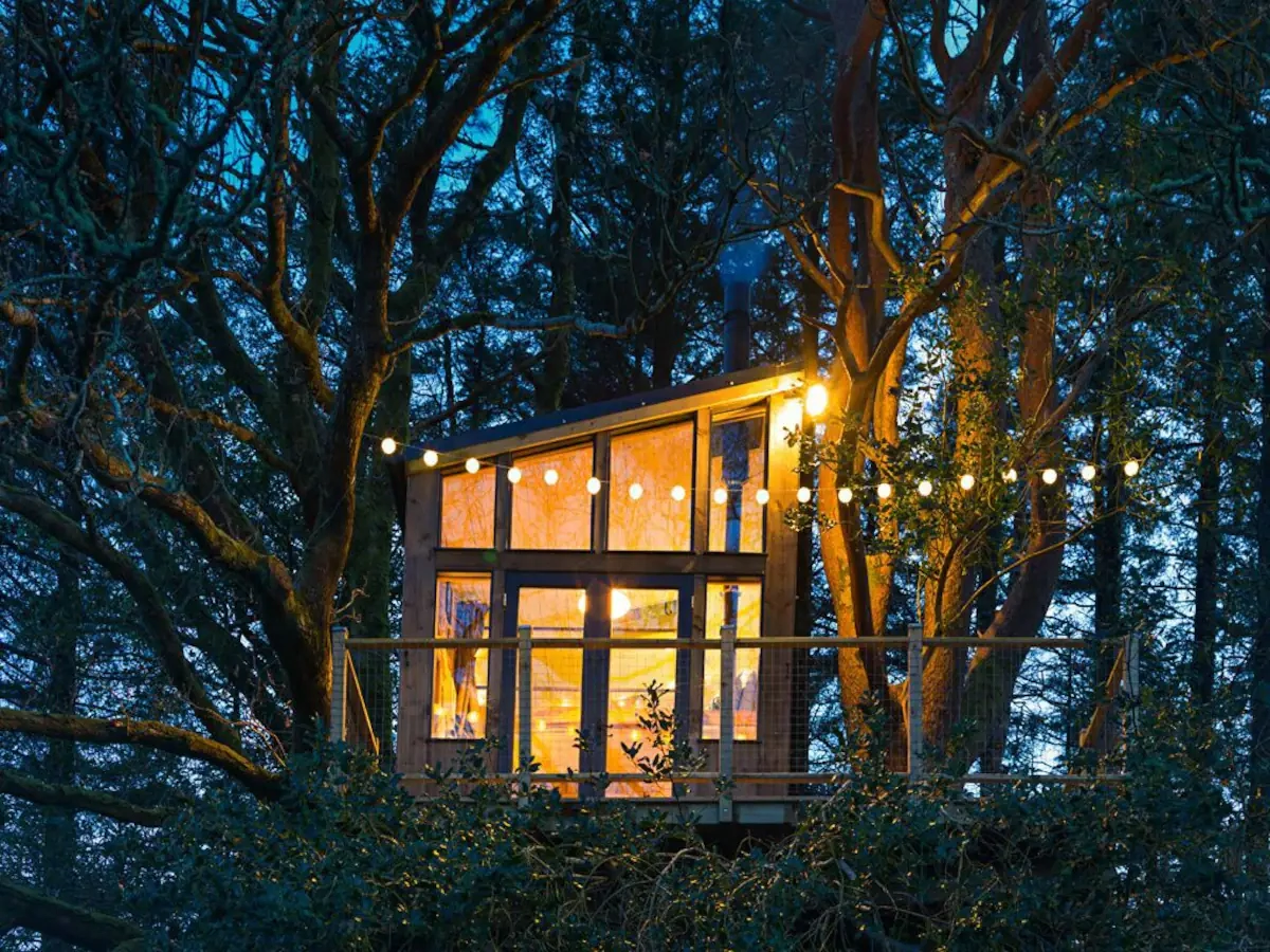 6 Irish treehouse stays to dream of visiting on Airbnb this year
