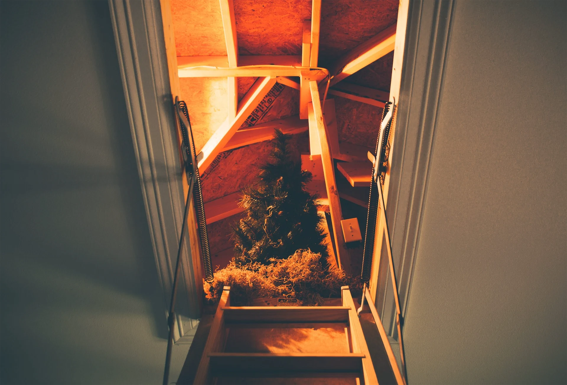 Christmas tree in an attic