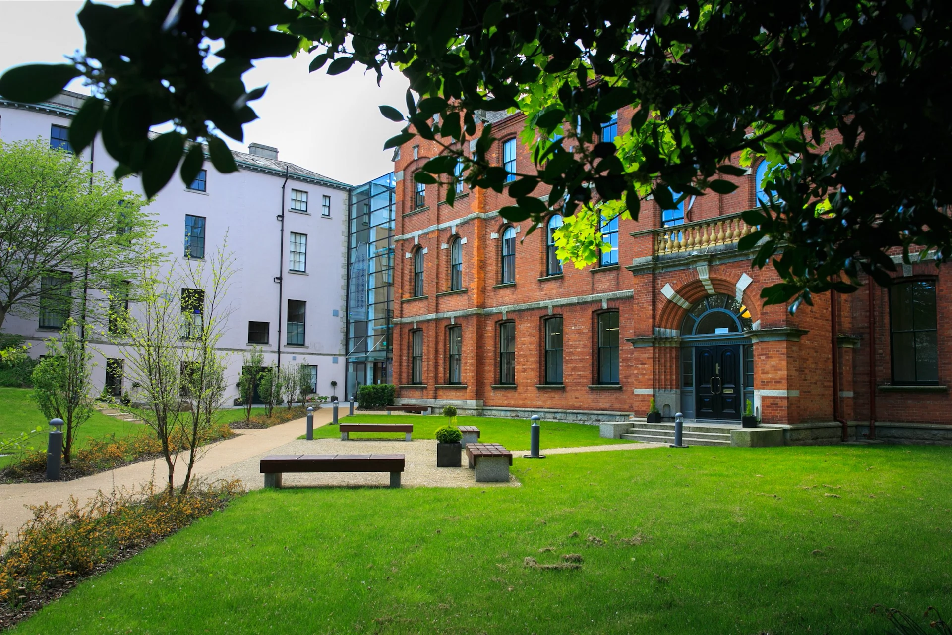 UCD Michael Smurfit Graduate Business School