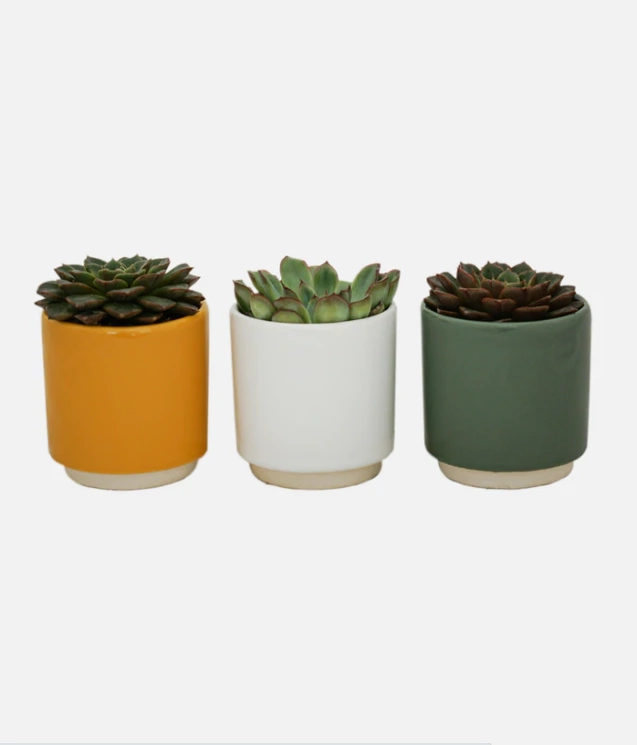 Eno ceramic pot, €10, Ballyseedy
