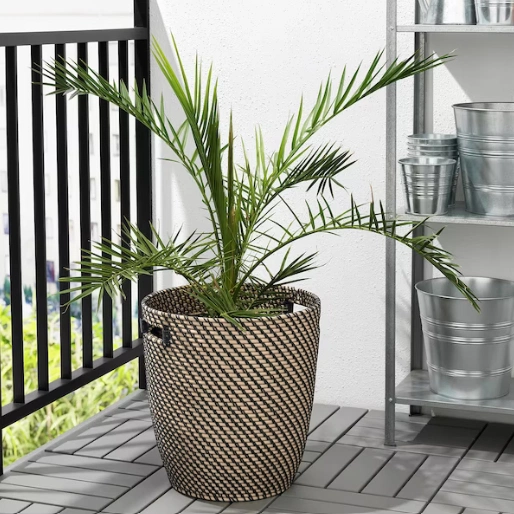 Ragkorn pot, €45, Ikea